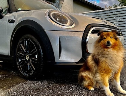 In Sweden the original Mini was affectionally known as The Doghouse.